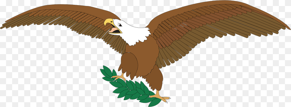 Spread Clipart, Animal, Bird, Eagle, Flying Free Transparent Png