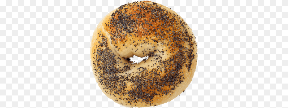 Spread The Bagel U2013 Authentic New York In Shanghai Bagel, Bread, Food, Astronomy, Moon Png