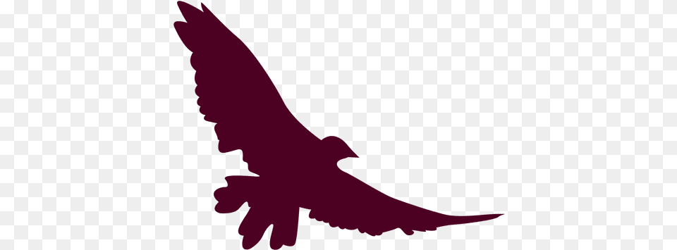 Spread Wings Bird Flying U0026 Svg Vector File Bird Silhouette Flying, Animal, Vulture, Baby, Person Png Image