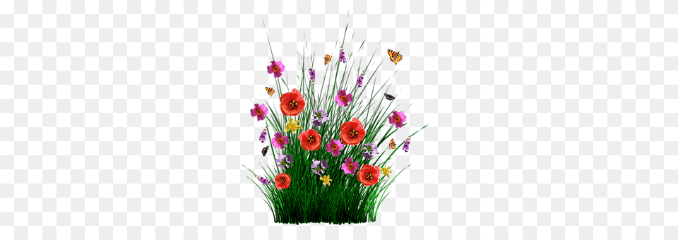 Spring Plant, Pattern, Graphics, Flower Bouquet Free Transparent Png