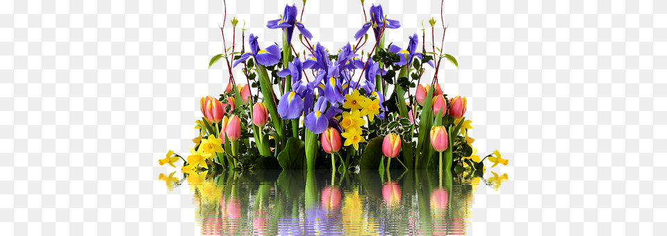 Spring Flower, Flower Arrangement, Flower Bouquet, Iris Free Png Download