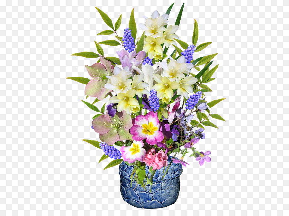 Spring Flower, Flower Arrangement, Flower Bouquet, Plant Png