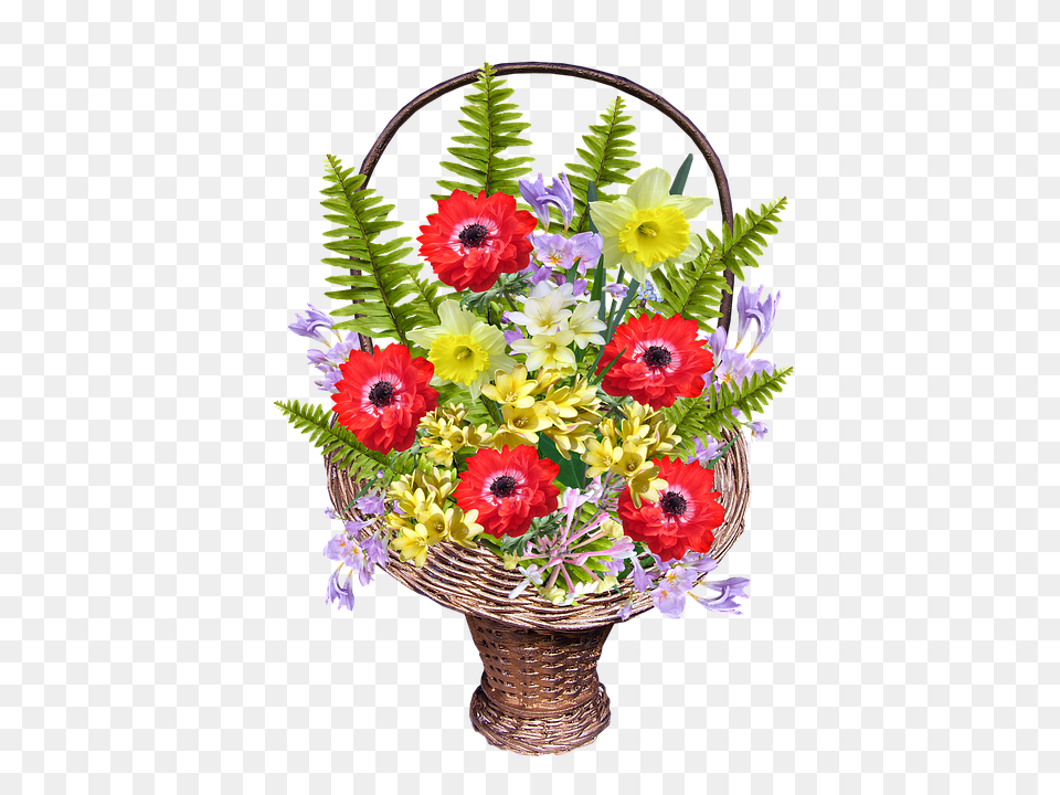 Spring Flower, Flower Arrangement, Flower Bouquet, Plant Png