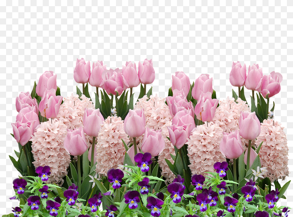 Spring Flower, Flower Arrangement, Flower Bouquet, Petal Free Transparent Png