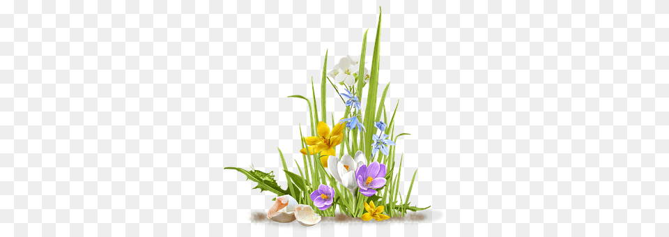 Spring Art, Pattern, Graphics, Flower Bouquet Free Transparent Png
