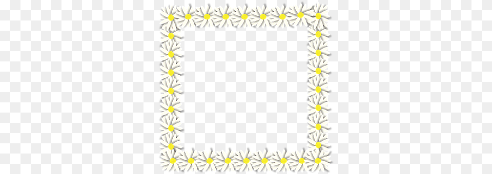 Spring Daisy, Flower, Plant, Flower Arrangement Free Png