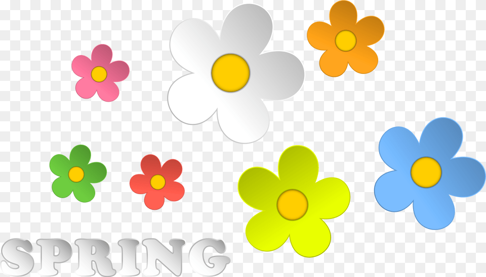 Spring And Flowers Decor Clipart Spring Border Clipart, Anemone, Plant, Flower, Daisy Png Image