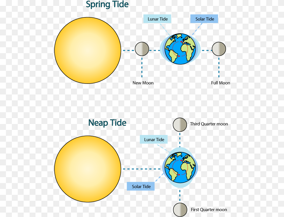 Spring And Neap Tides Neap Tide Moon Position, Sphere, Astronomy, Outer Space, Nature Free Png