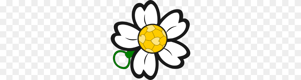 Spring Babby Cup, Daisy, Flower, Plant, Anemone Free Png
