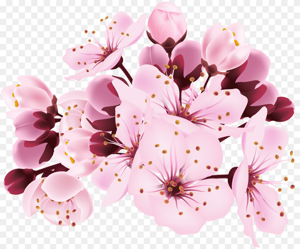 Spring Background Cherry Blossom Flower, Lighting, Nature, Night, Outdoors Png Image