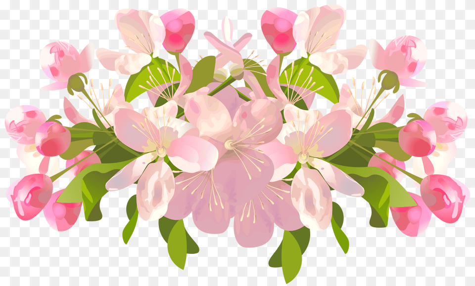 Spring Background Picture Spring Flowers Transparent Background Png Image