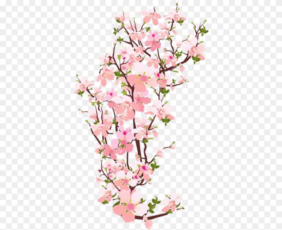 Spring Background Samurai Black And White, Flower, Plant, Cherry Blossom Free Png