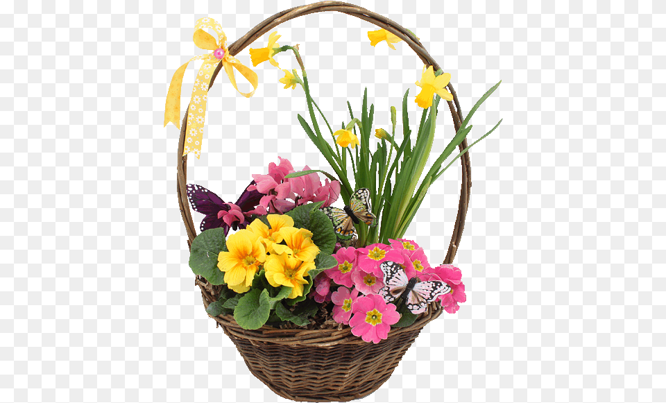 Spring Basket Of Flowers Pictures Photos And Images For Gif Basket Of Flowers, Flower, Flower Arrangement, Flower Bouquet, Plant Png