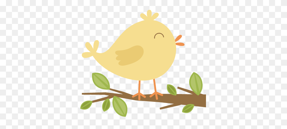 Spring Bird Spring, Animal, Reptile, Sea Life, Turtle Free Transparent Png