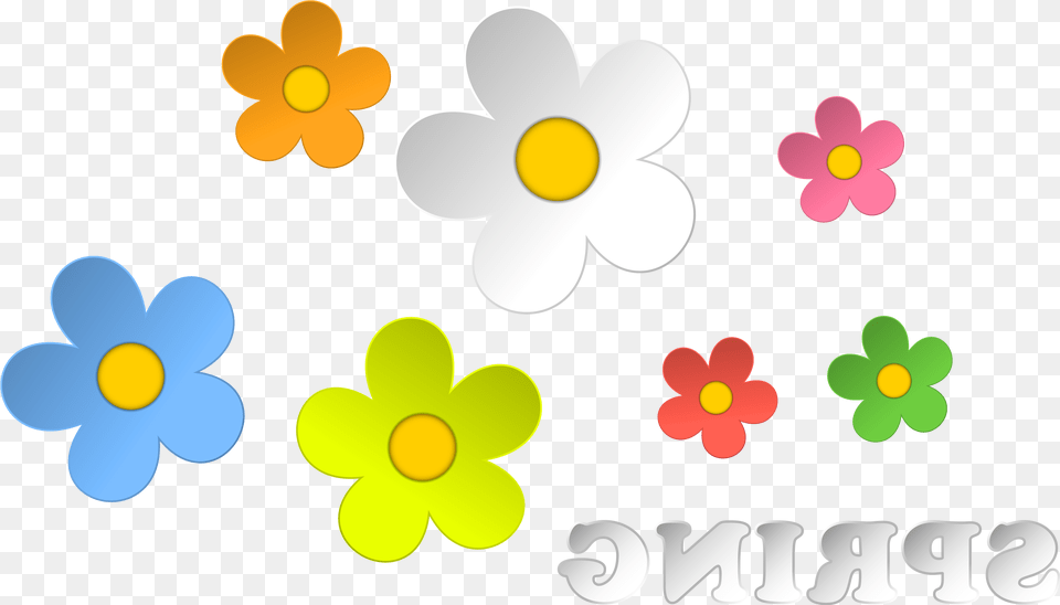 Spring Border Clipart, Anemone, Plant, Flower, Daisy Free Png Download