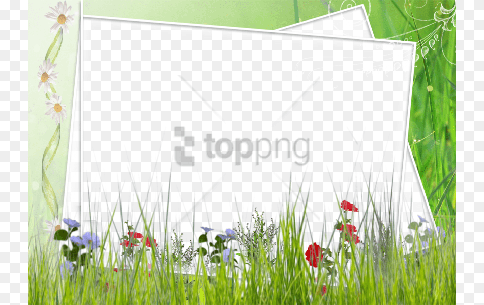 Spring Border Image With Transparent Green Flower Borders And Frames, Nature, Field, Vegetation, Grass Png