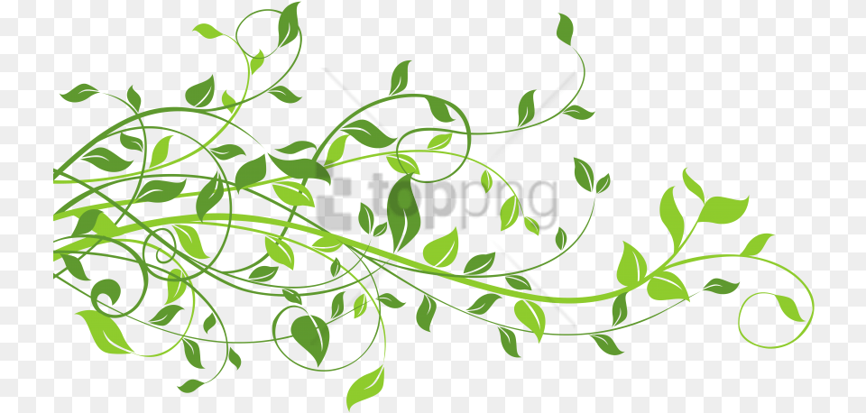 Spring Border Image With Spring Leaves Clipart, Art, Floral Design, Graphics, Green Free Transparent Png