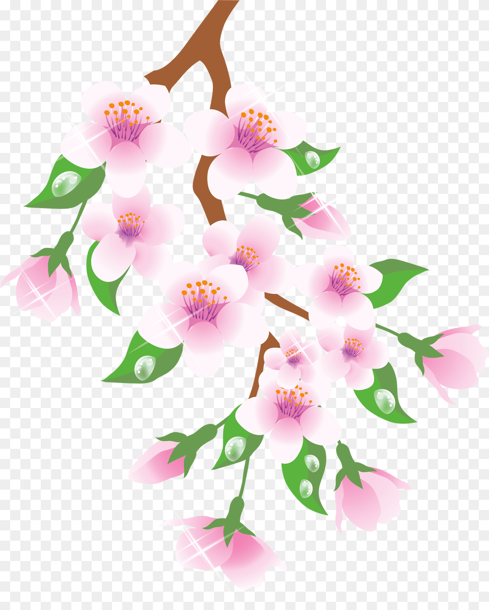 Spring Branch Pink Clipart Spring Branch Clipart, Flower, Plant, Cherry Blossom Free Transparent Png