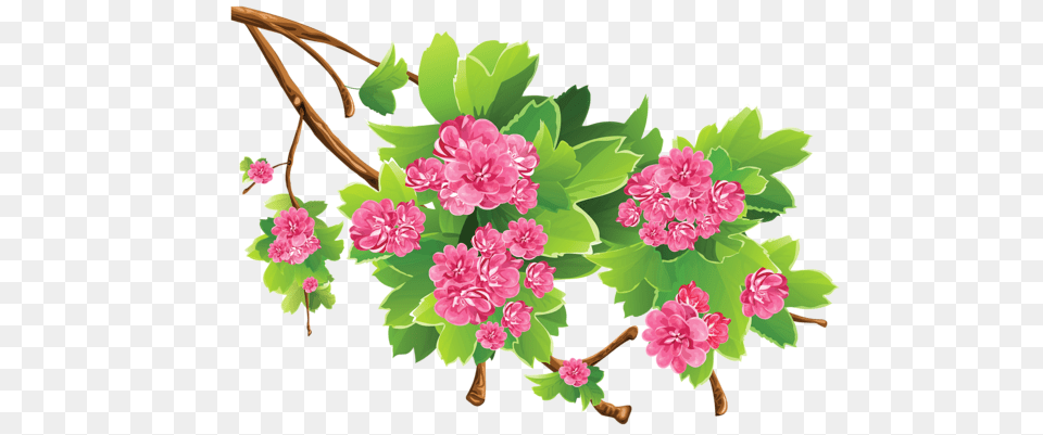 Spring Branch Clipart Picture Flores Y, Flower, Geranium, Plant, Carnation Free Transparent Png