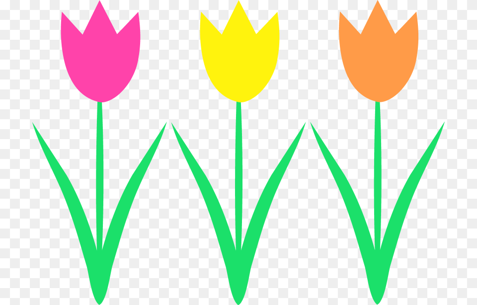 Spring Break Clip Art, Flower, Plant, Petal, Tulip Free Transparent Png