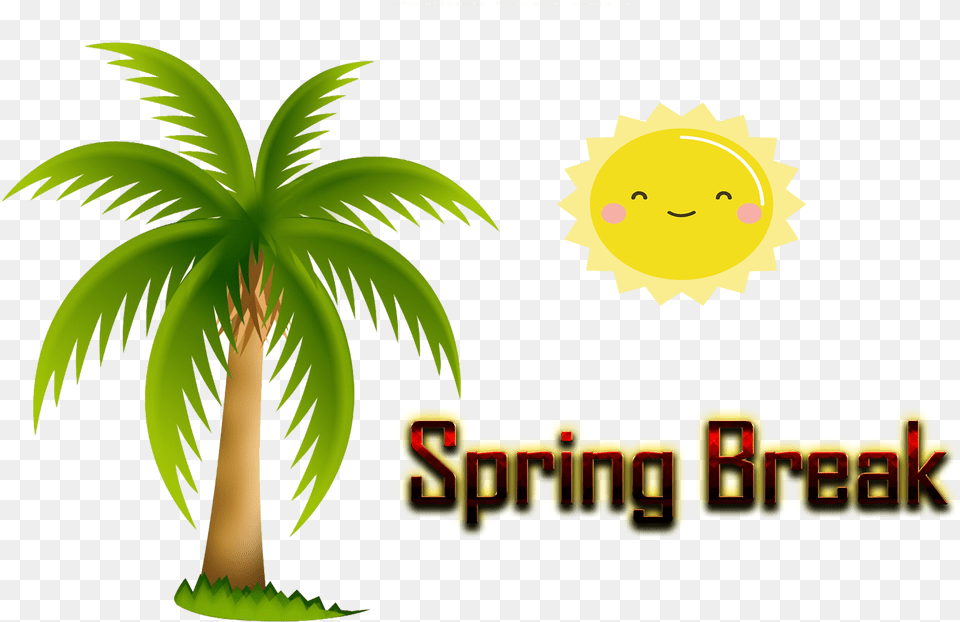 Spring Break Transparent Image, Palm Tree, Plant, Tree, Vegetation Png