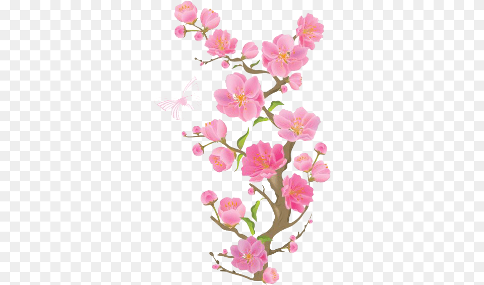 Spring Cherry Blossom Transparent Background, Anther, Flower, Petal, Plant Png Image