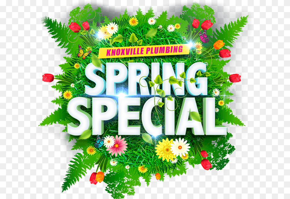 Spring Cleaning Offer Includes Chrysanths, Art, Graphics, Advertisement, Poster Png Image