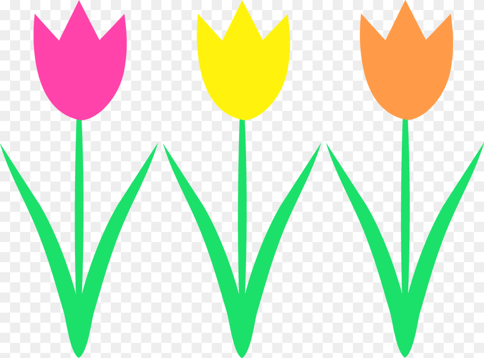 Spring Clip Art, Flower, Plant, Tulip Free Png Download