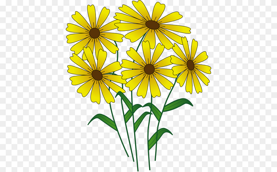 Spring Clip Art, Daisy, Flower, Plant, Petal Free Png Download