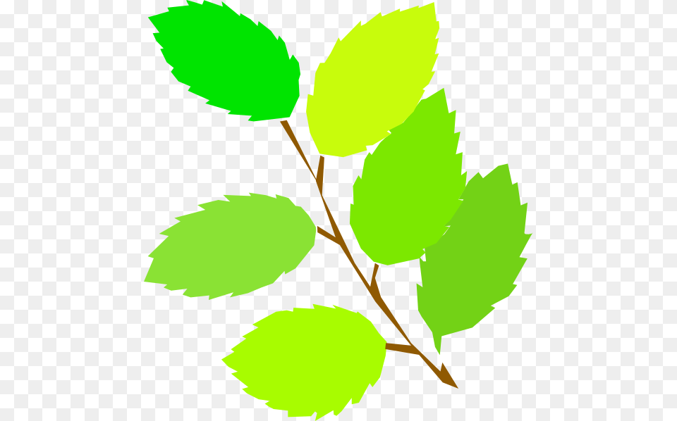 Spring Clip Art Cartoon, Herbal, Herbs, Leaf, Plant Png