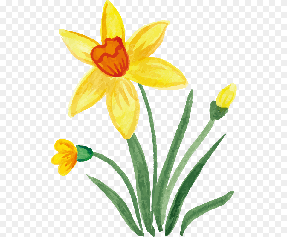 Spring Clip Art Flowers With Leaves Drawing, Daffodil, Flower, Plant Png