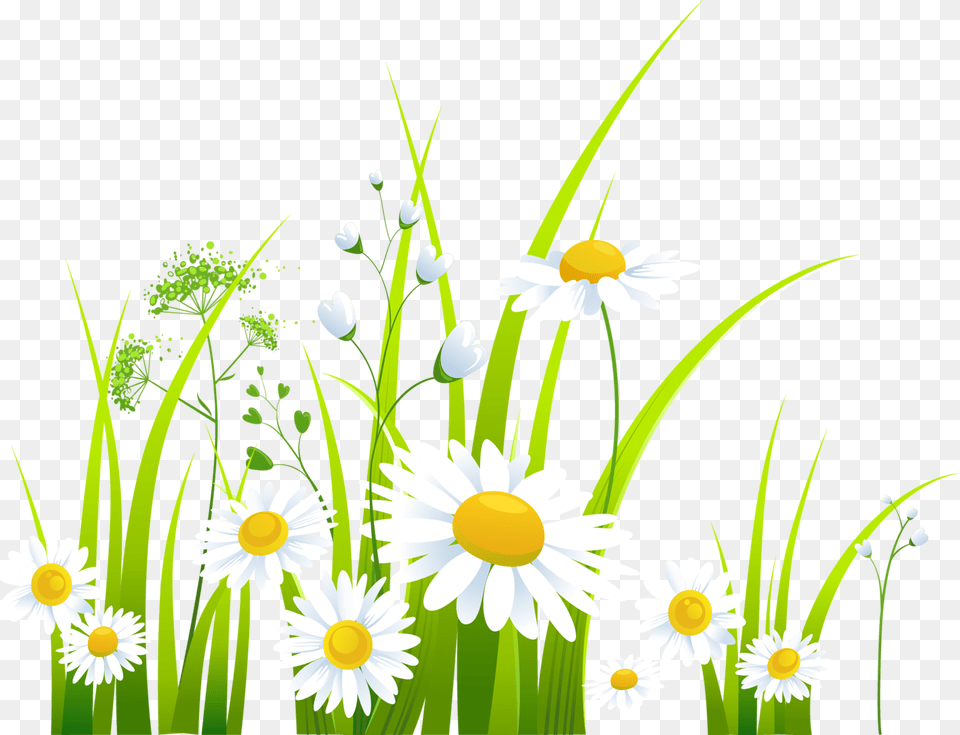 Spring Clip Art Green Flower Frame, Daisy, Plant Png