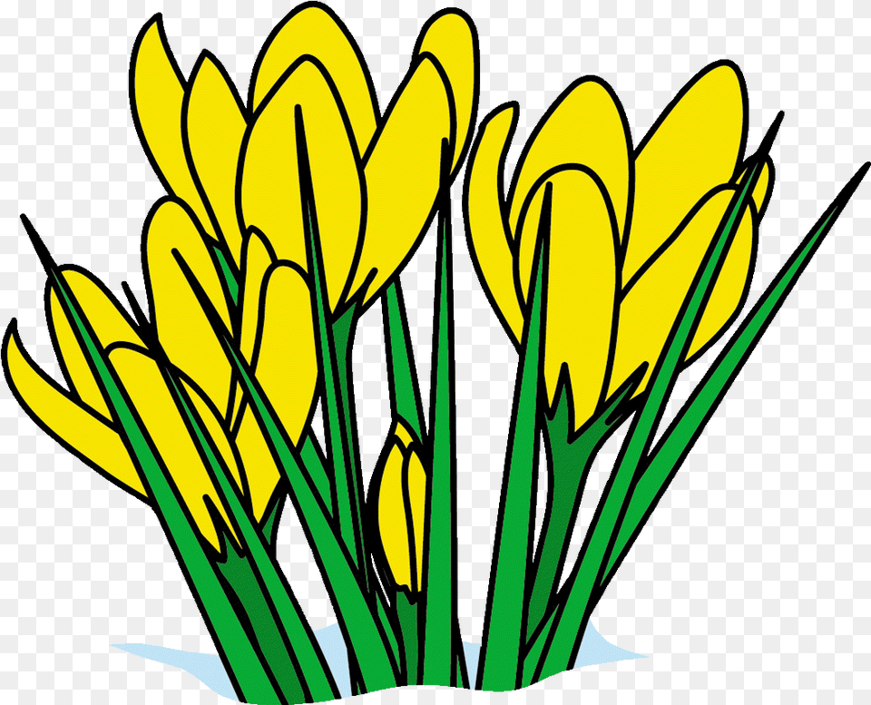 Spring Clip Art Pg 1 Disney Spring Break Clip Art Clipart March, Flower, Plant, Daffodil Png