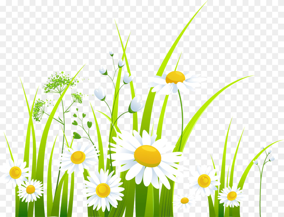 Spring Clip Art Spring May Flowers Clipart, Daisy, Flower, Plant, Green Png Image
