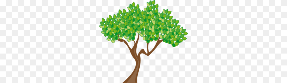 Spring Clip Art Spring Season, Plant, Potted Plant, Tree, Oak Png