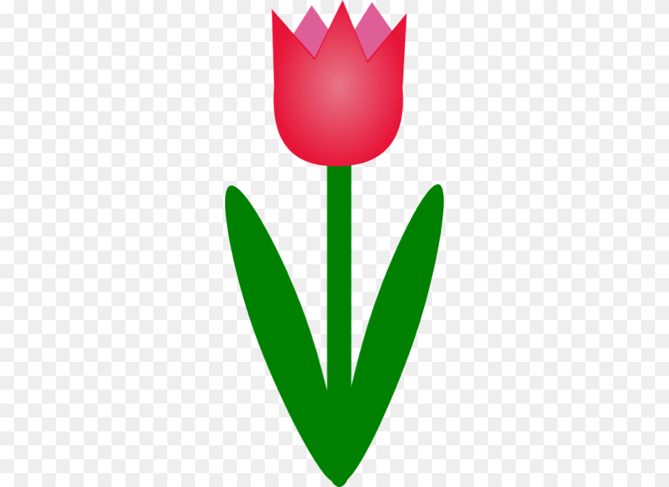 Spring Clipart, Flower, Plant, Tulip, Petal Png Image