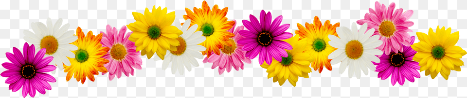 Spring Clipart Border Spring Flowers Border Clipart Png Image
