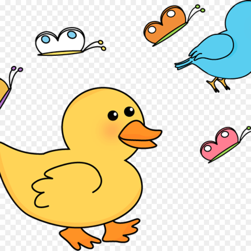 Spring Clipart Clipart, Animal, Beak, Bird, Duck Png