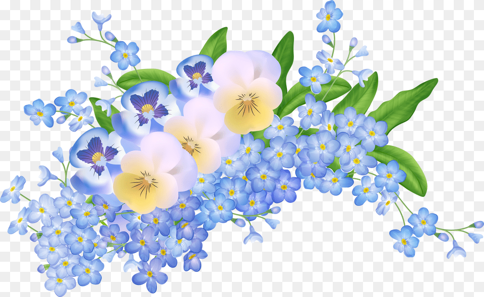 Spring Clipart Forget Me Not Png Image