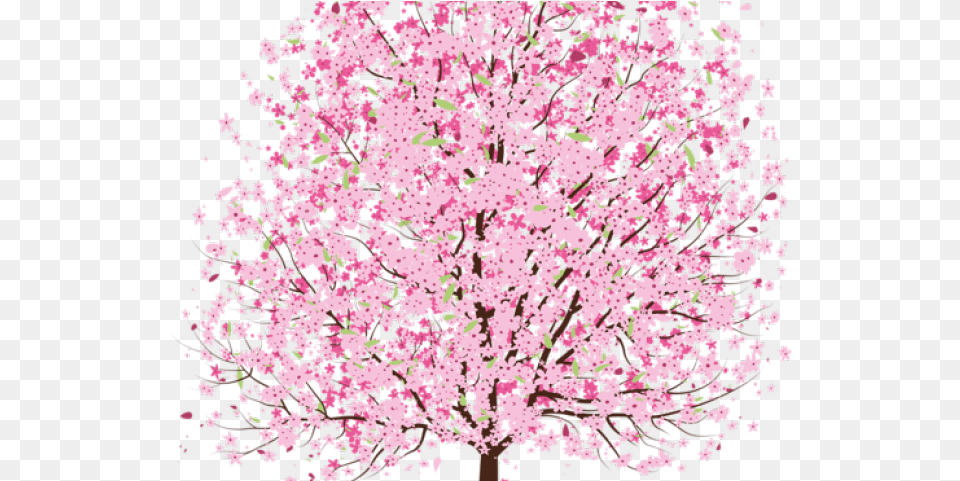 Spring Clipart Pink Blossom Tree Vector Flower, Plant, Petal, Cherry Blossom Free Png Download