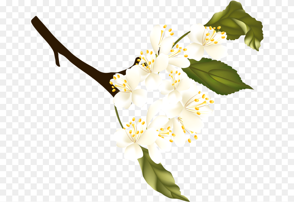 Spring Clipart Portable Network Graphics, Flower, Plant, Pollen, Anther Free Transparent Png