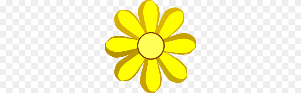 Spring Clipart Sign, Daisy, Flower, Petal, Plant Png Image