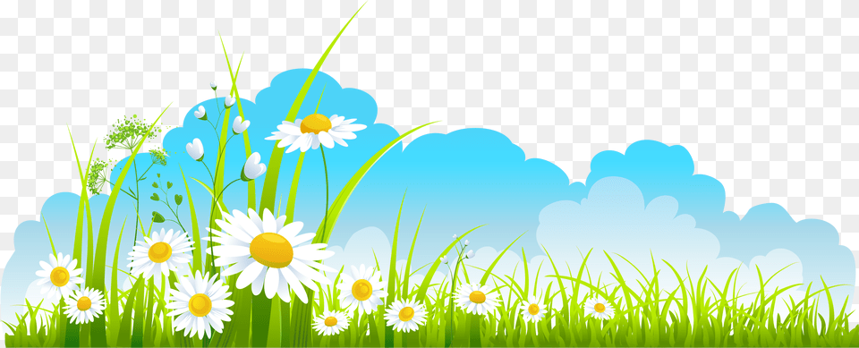 Spring Clipart Spring Clipart, Daisy, Plant, Flower, Green Png Image
