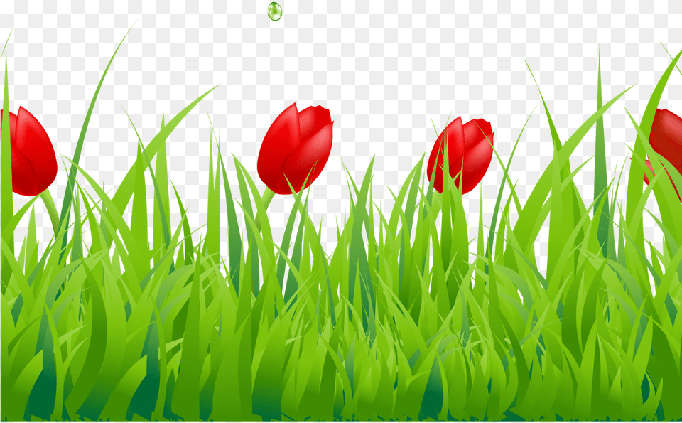Spring Clipart Spring Grass Pencil And In Color Spring Border Tulip Clip Art, Flower, Green, Plant, Petal Png Image