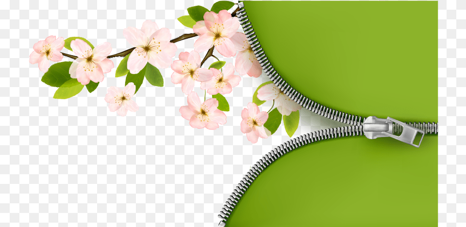 Spring Clipart Transparent Background, Flower, Plant, Zipper, Petal Png