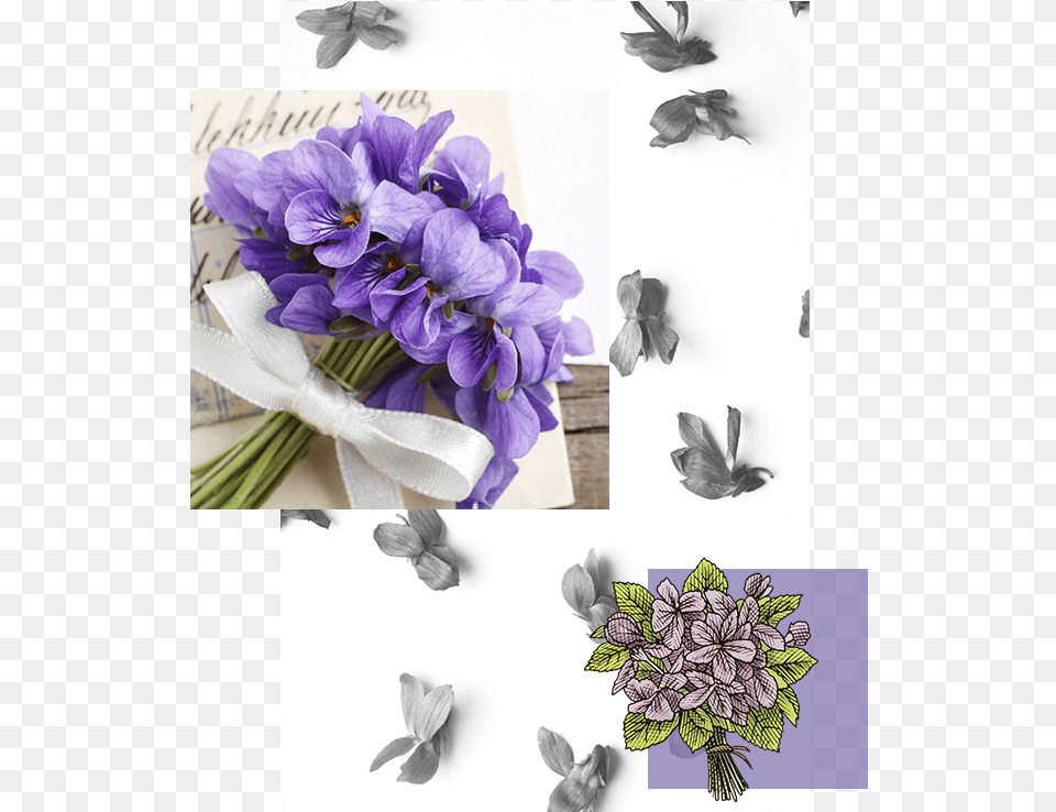Spring Crocus, Flower, Plant, Flower Arrangement, Flower Bouquet Free Transparent Png