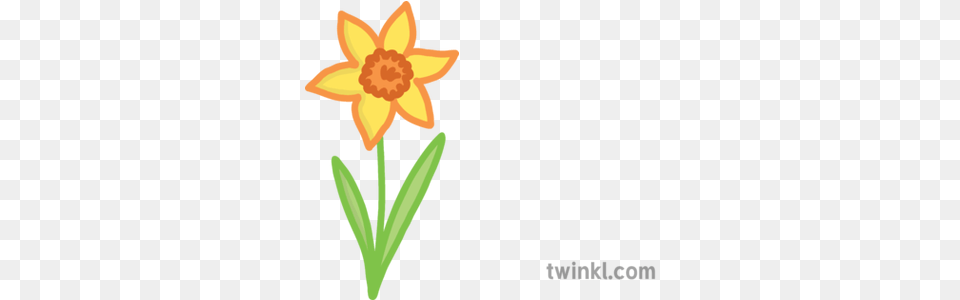 Spring Daffodil Flower All About Me Emoji Worksheet English Susan, Plant Free Png Download