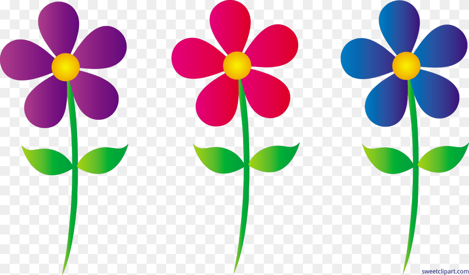 Spring Daisies Set Clip Art, Plant, Petal, Flower, Daisy Free Transparent Png