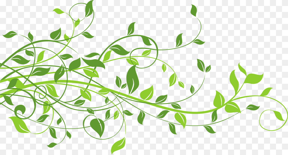 Spring Decor With Leaves Clip Art Floral Design, Graphics, Green, Pattern Png Image