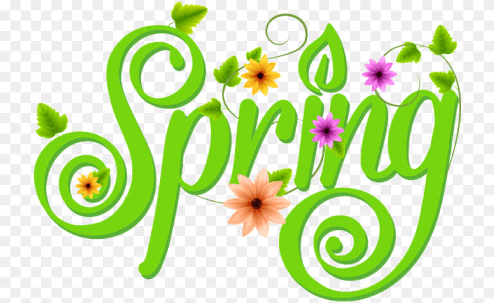 Spring Decoration Images Background Spring Clip Art Floral Design, Graphics, Green, Pattern Free Transparent Png